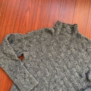 Aritzia Chunky Turtleneck Sweater